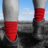Men's Fully Cushioned Merino Walking Boot Sock