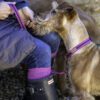Lightweight Cushioned Knee High Sock